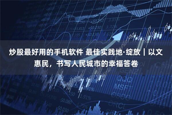 炒股最好用的手机软件 最佳实践地·绽放｜以文惠民，书写人民城市的幸福答卷